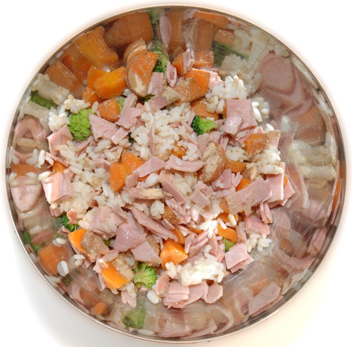 ration ménagère pour chien